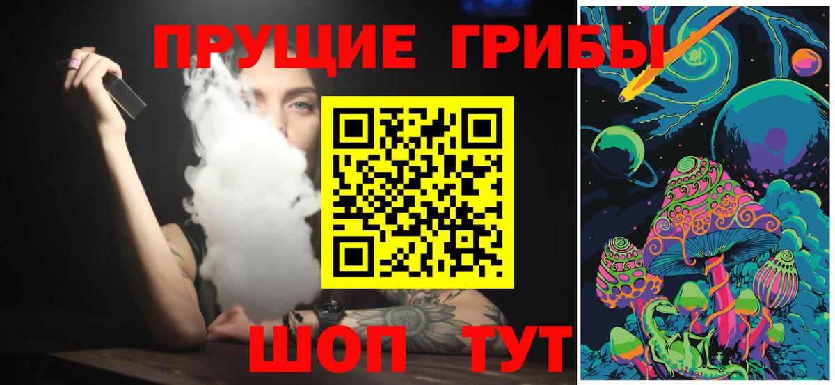 Псилоцибиновые грибы Psilocybe  Вход с VPN  Щёлково 